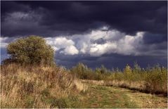 Herbststimmung am 24.Oktober.....