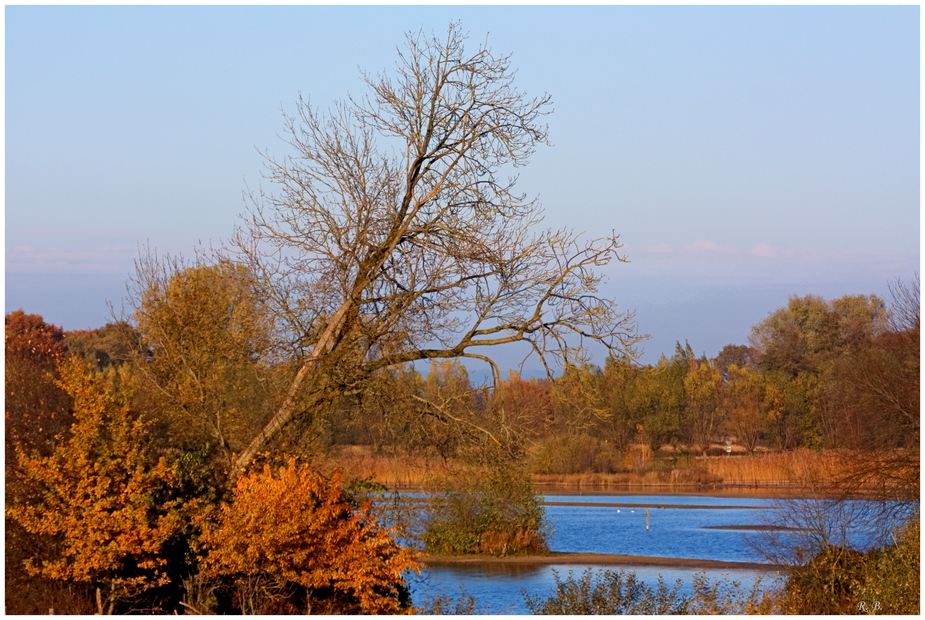 Herbststimmung am 31. 10. 2010