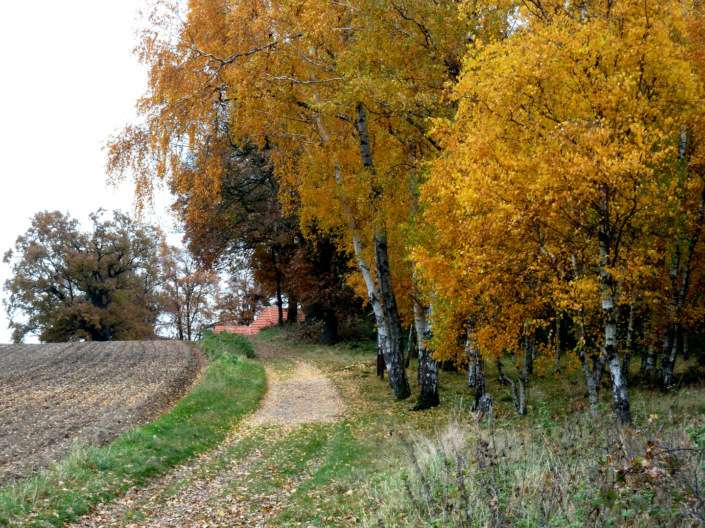 Herbststimmung am Achterberg