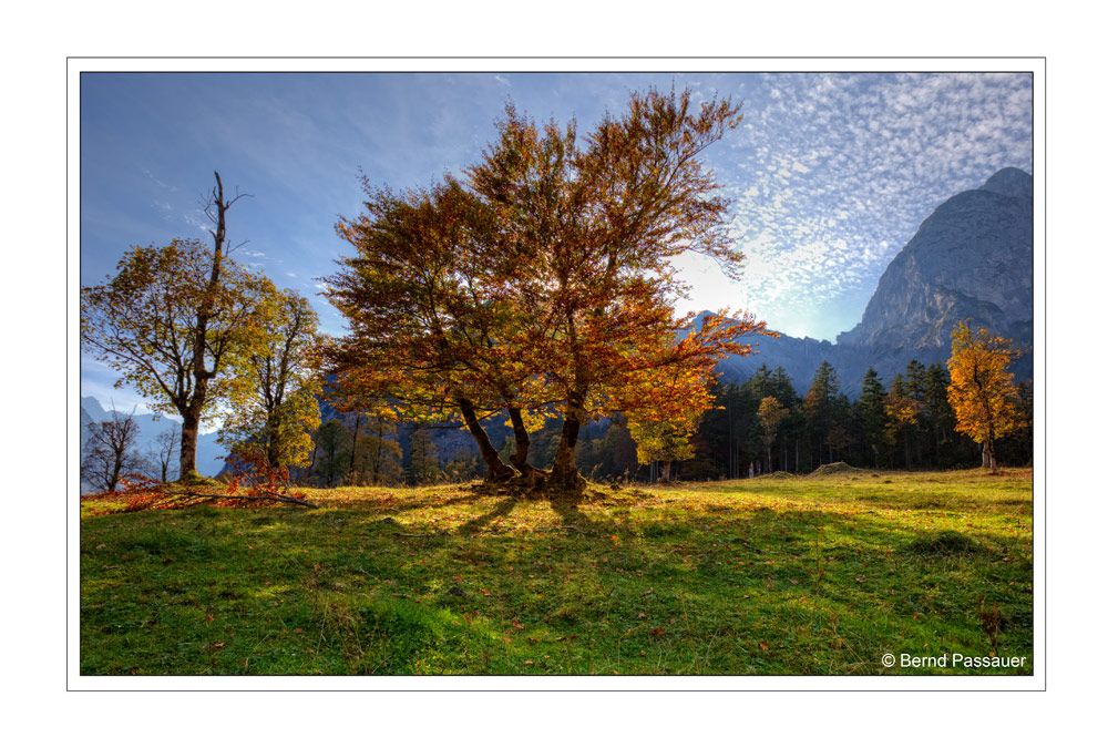 Herbststimmung am Ahornboden