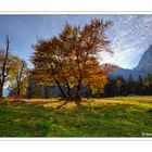 Herbststimmung am Ahornboden