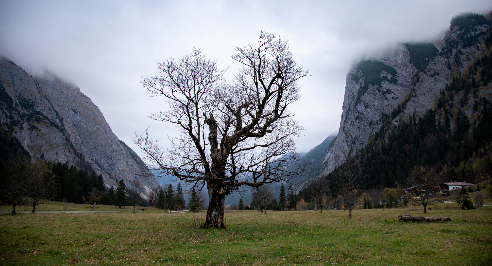 Herbststimmung am Ahornboden