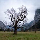 Herbststimmung am Ahornboden