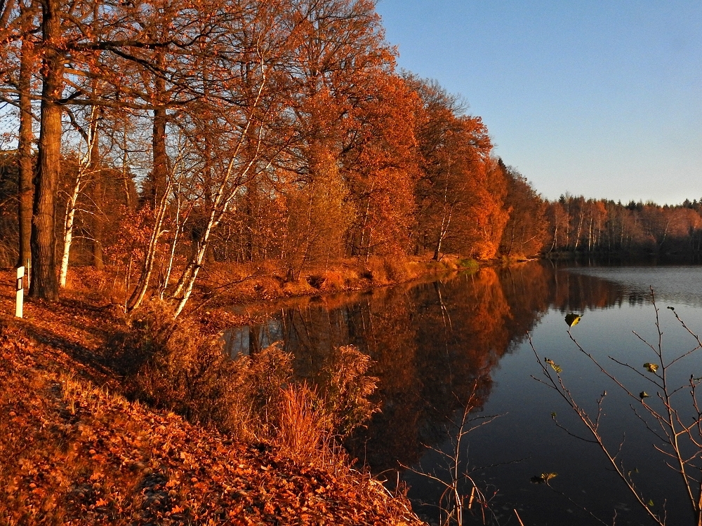 Herbststimmung am Alten Teich Foto & Bild wasser, teich, natur Bilder