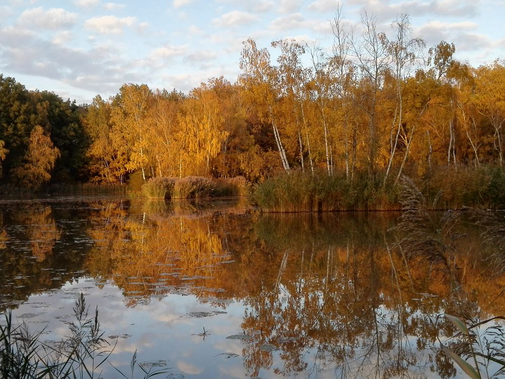 Herbststimmung am Angelsee