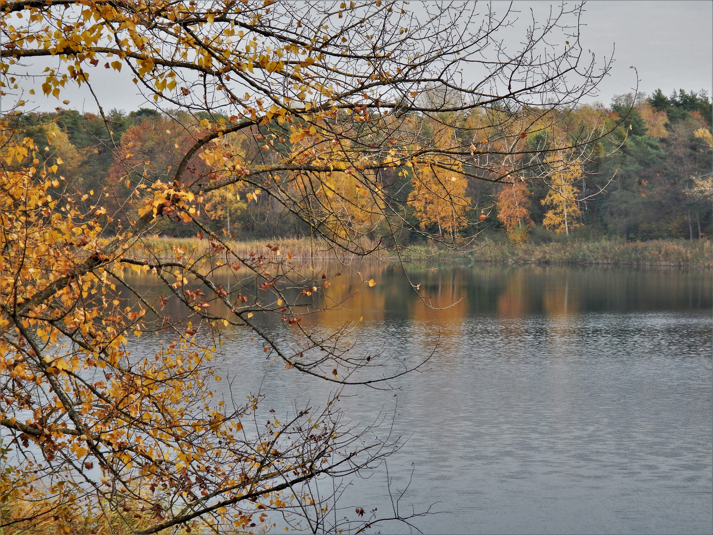 Herbststimmung am Anglersee