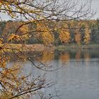 Herbststimmung am Anglersee