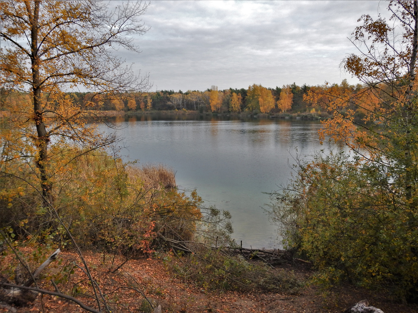 Herbststimmung am Anglersee