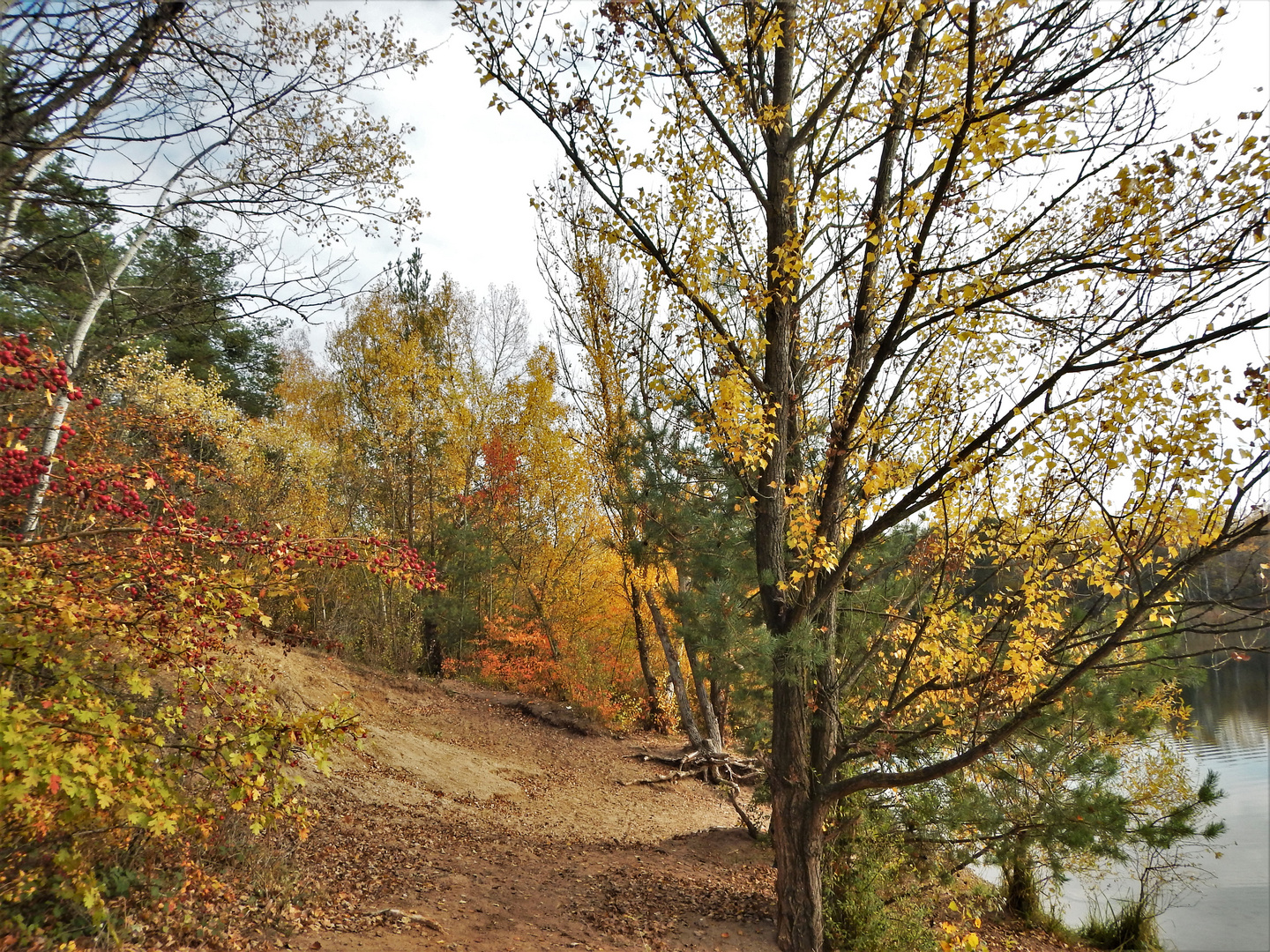 Herbststimmung am Anglersee