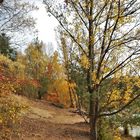 Herbststimmung am Anglersee