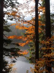 Herbststimmung am Arbersee