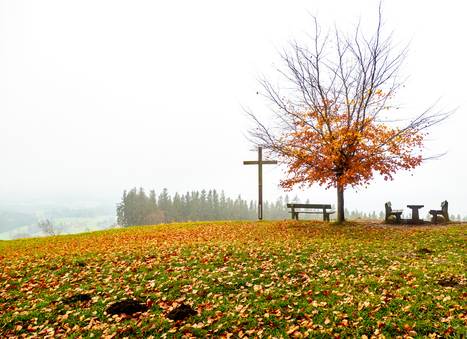 Herbststimmung am Auerberg 2