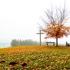 Herbststimmung am Auerberg 2