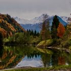 Herbststimmung am Auwaldsee
