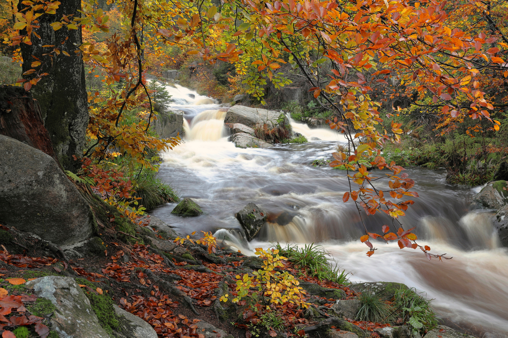 Herbststimmung am Bach