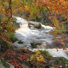 Herbststimmung am Bach