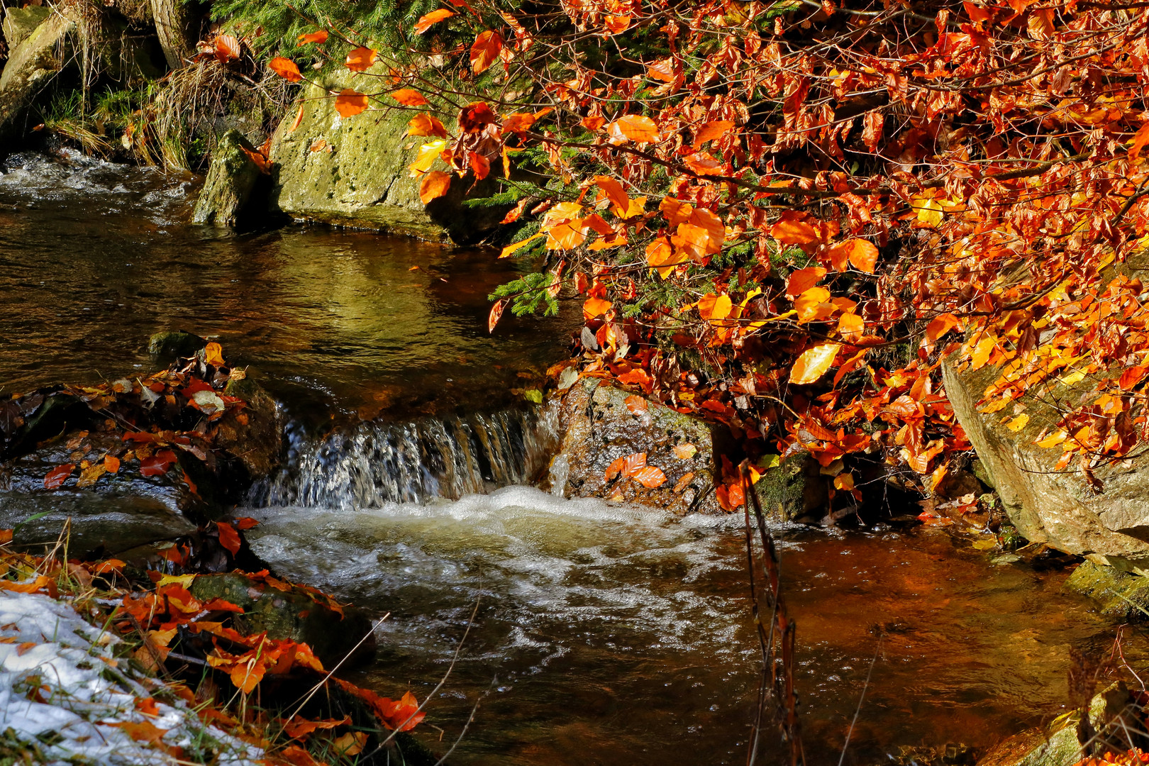 Herbststimmung am Bach