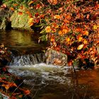 Herbststimmung am Bach