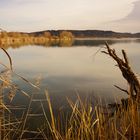 Herbststimmung am Baggersee