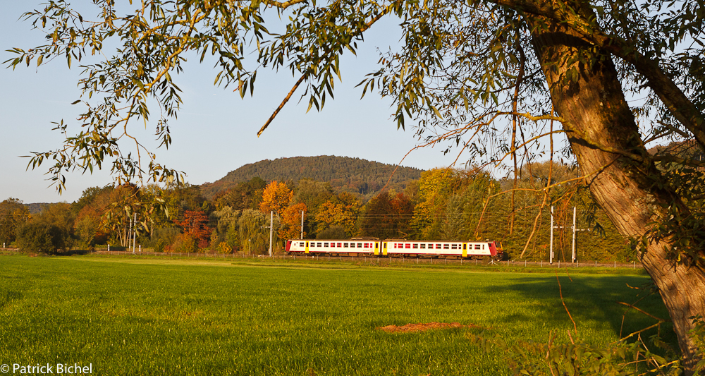 Herbststimmung am Bahndamm (1)