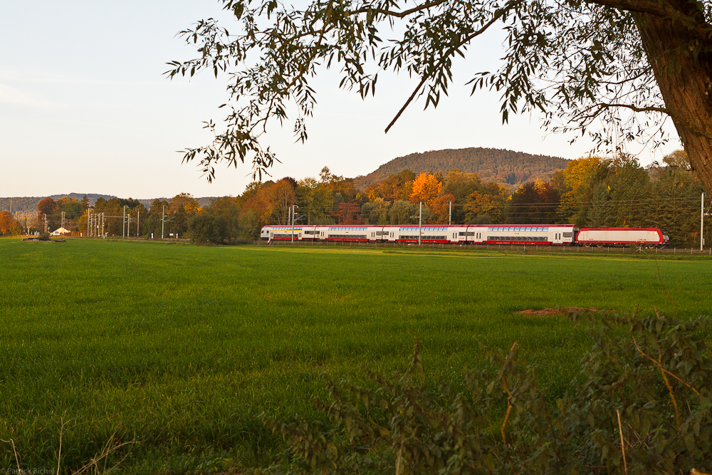 Herbststimmung am Bahndamm (2)