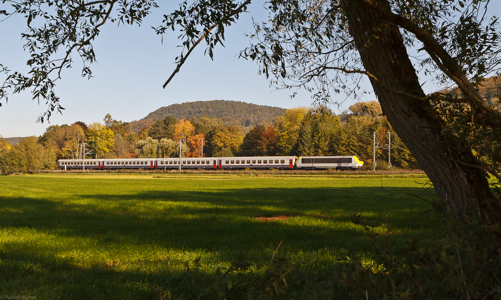 Herbststimmung am Bahndamm (3)