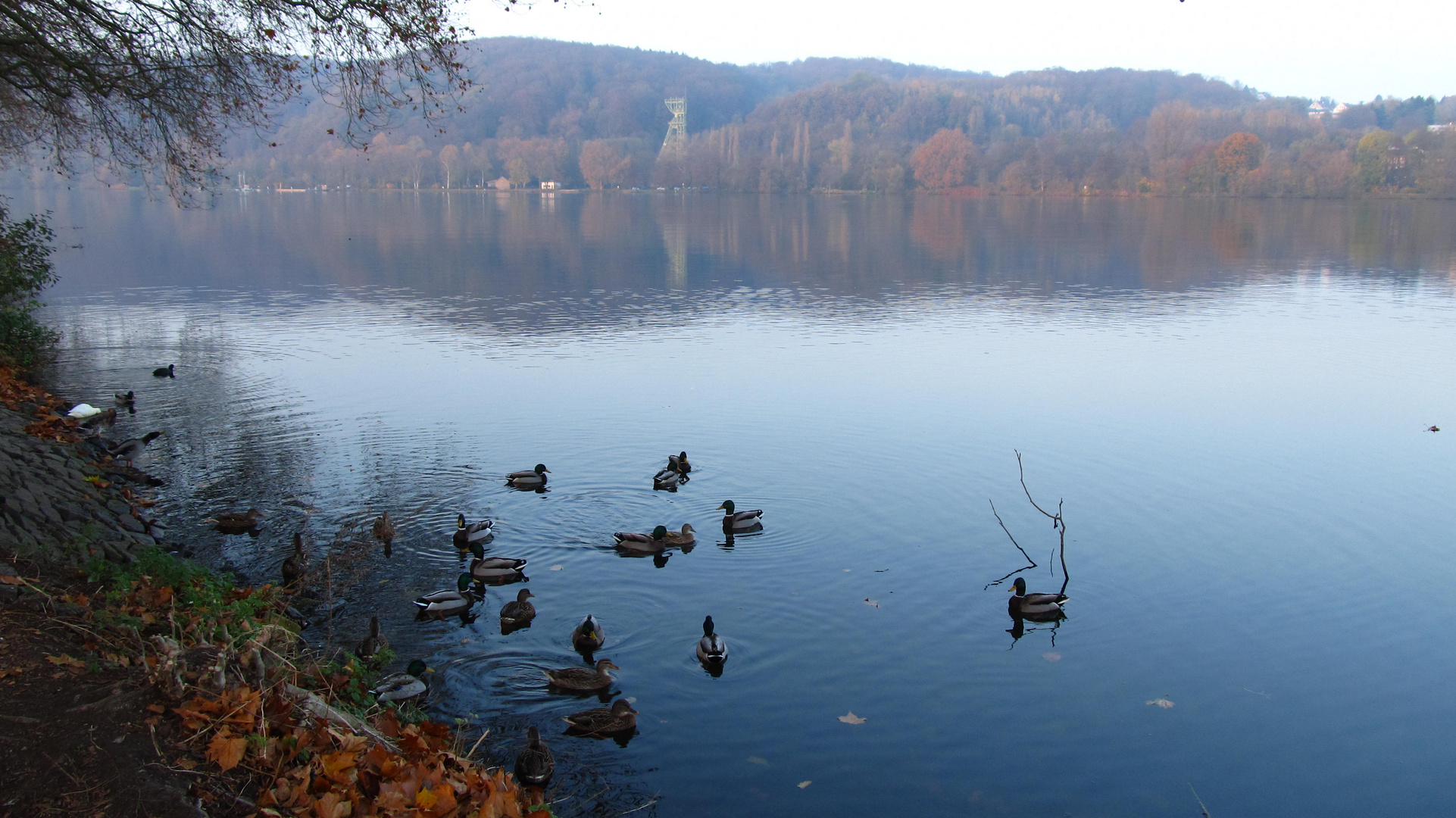 Herbststimmung am Baldeneysee