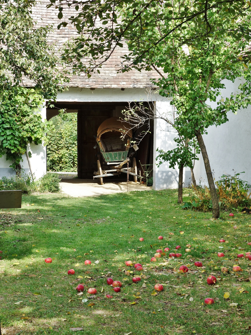 herbststimmung am bauernhof