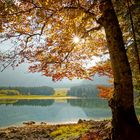 Herbststimmung am Bergsee