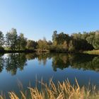 Herbststimmung am Birkensee