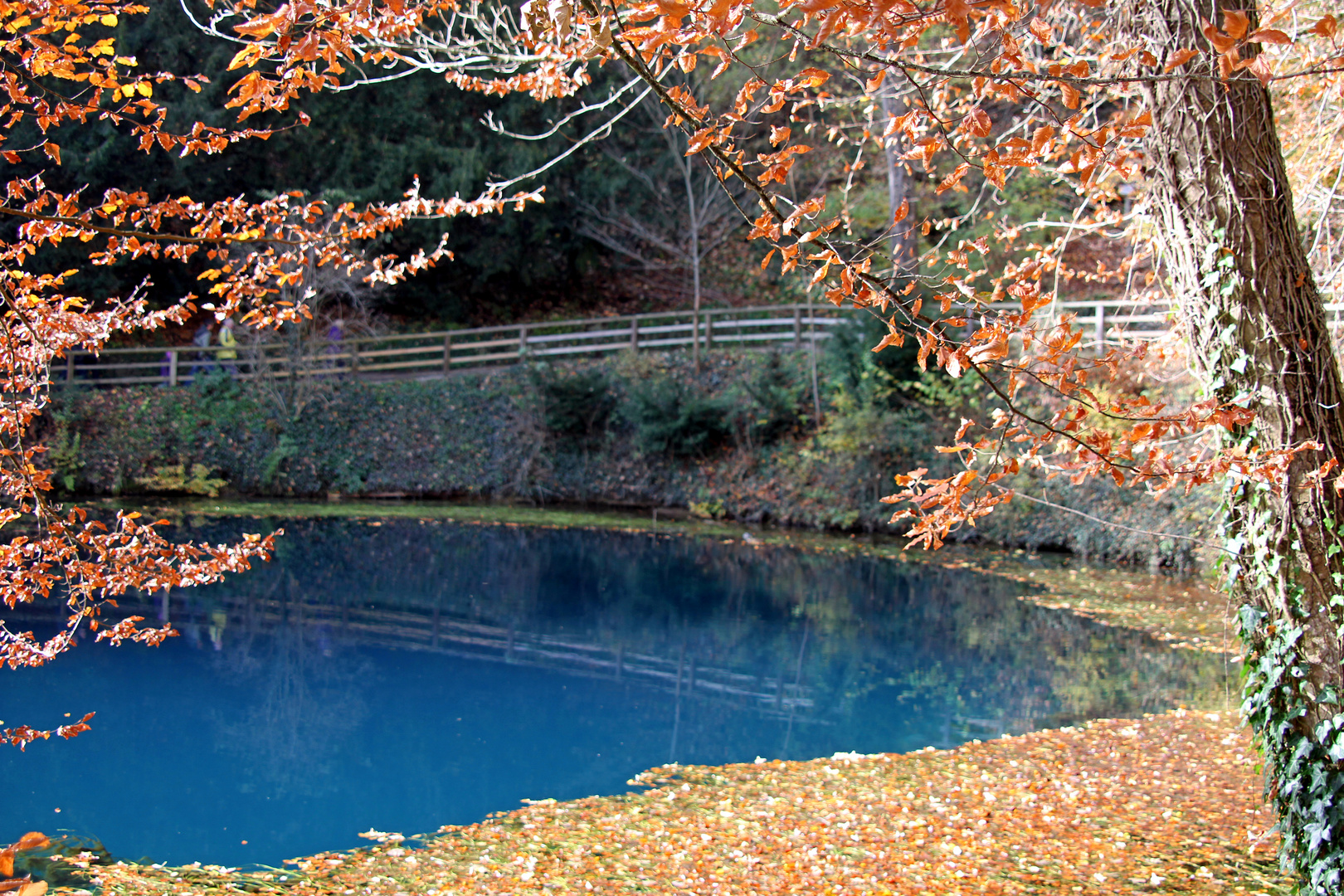 Herbststimmung am Blautopf in Blaubeuren 4