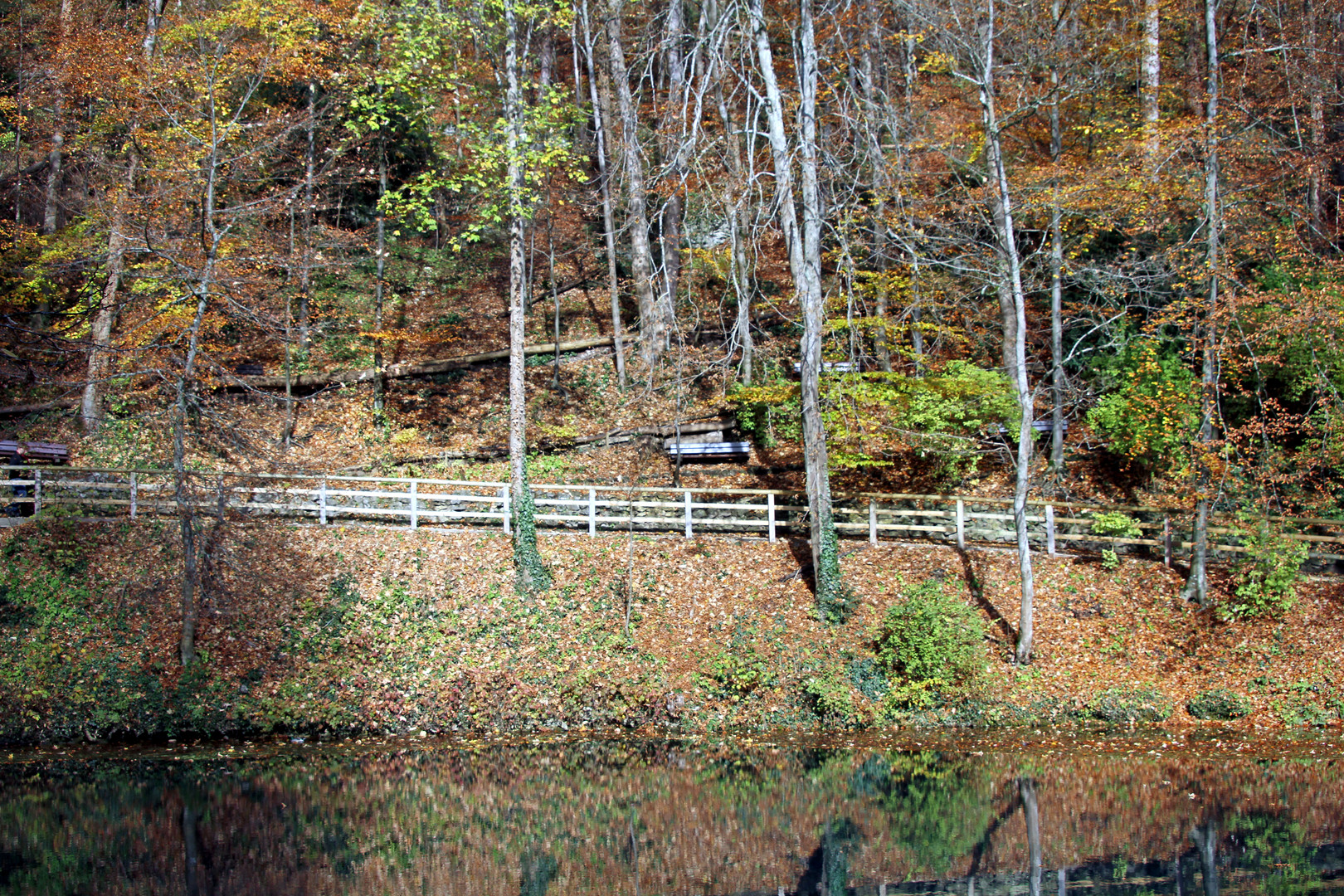 Herbststimmung am Blautopf in Blaubeuren