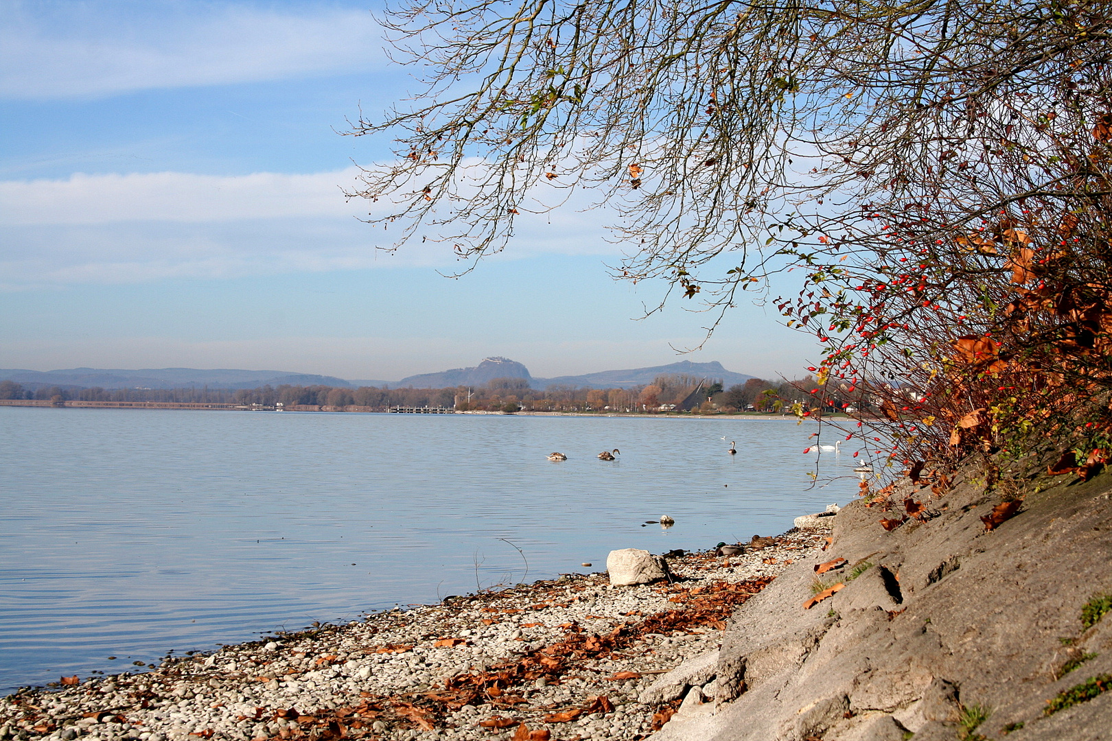 Herbststimmung am Bodensee