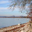 Herbststimmung am Bodensee