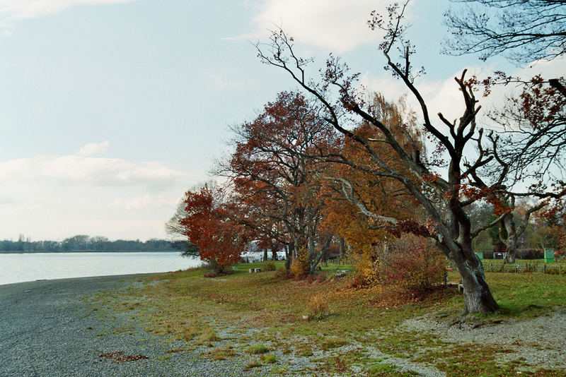 Herbststimmung am Bodensee