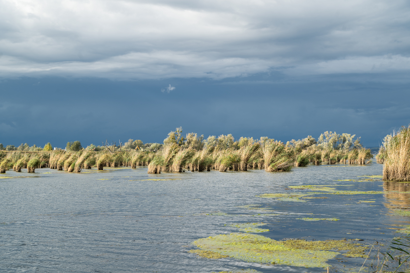 Herbststimmung am Bodensee