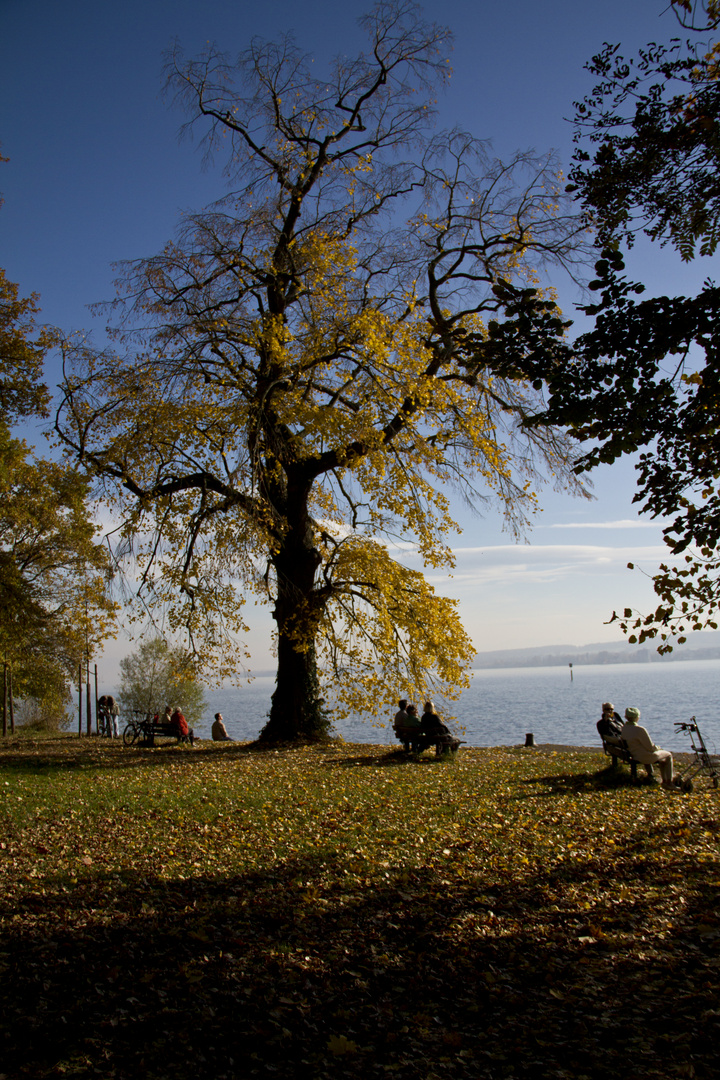 Herbststimmung am Bodensee Bild 1