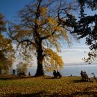 Herbststimmung am Bodensee Bild 1