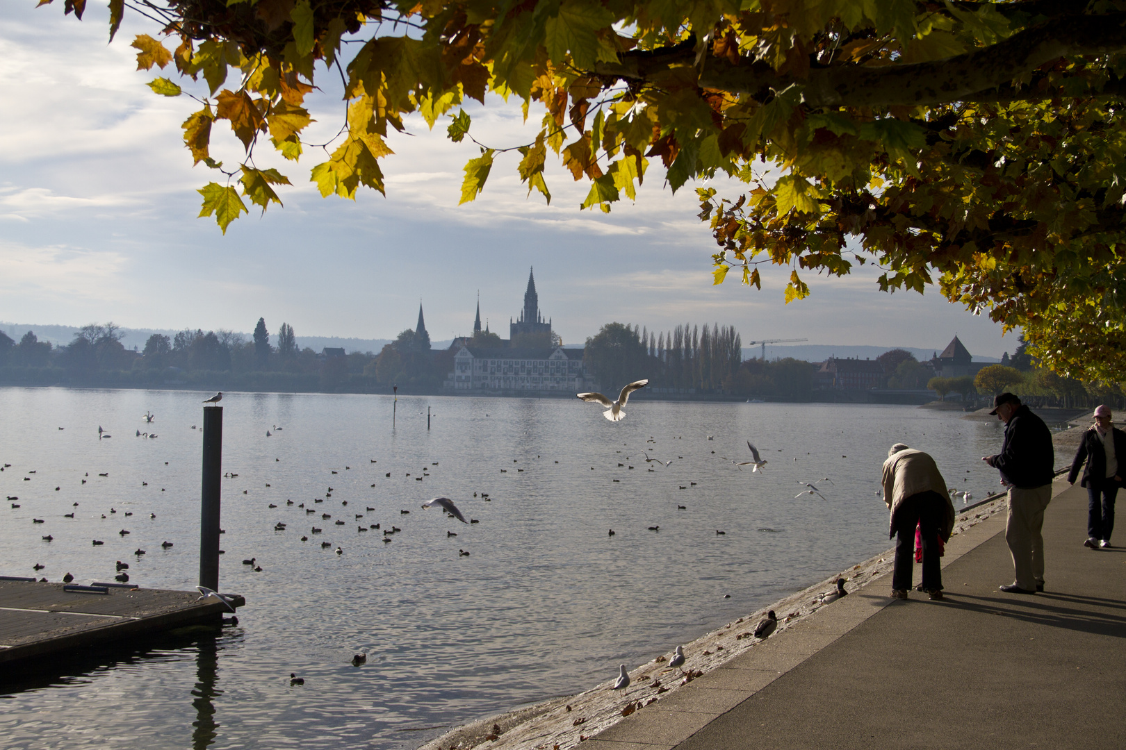 Herbststimmung am Bodensee Bild 4