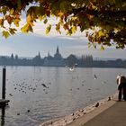 Herbststimmung am Bodensee Bild 4