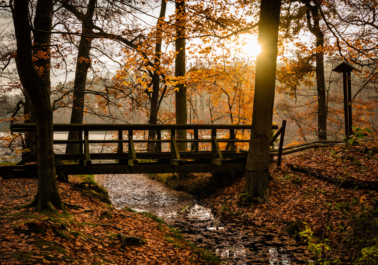 Herbststimmung am Böbereckensee  Rheinsberg