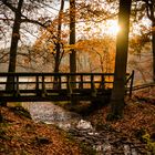 Herbststimmung am Böbereckensee  Rheinsberg