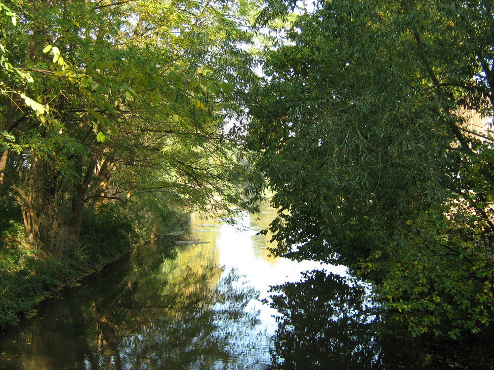 Herbststimmung am Boker Kanal (bei Delbrück)