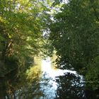 Herbststimmung am Boker Kanal (bei Delbrück)