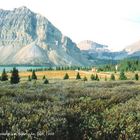 Herbststimmung am Bow Lake