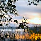 Herbststimmung am Chiemsee