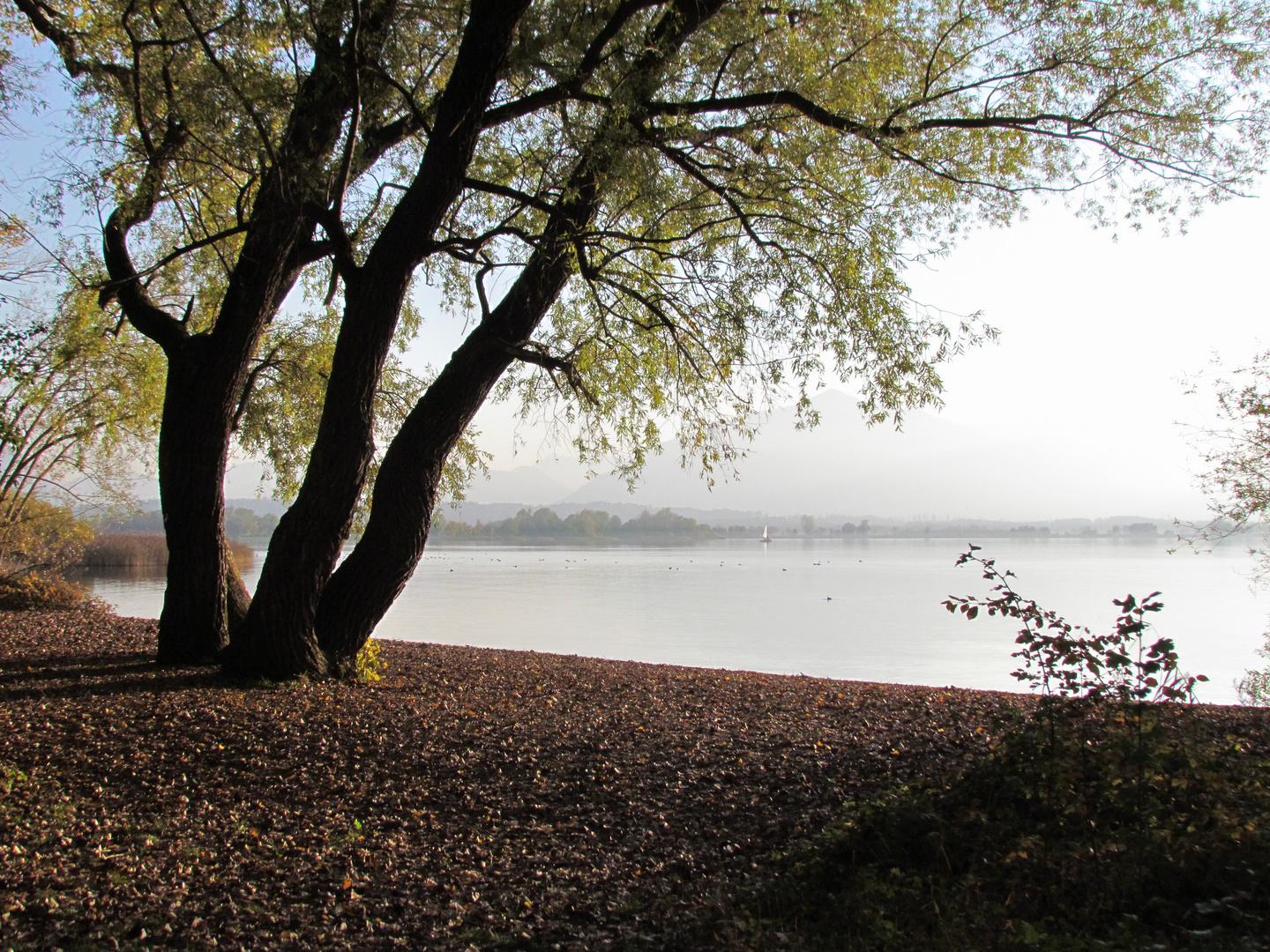 Herbststimmung am Chiemsee