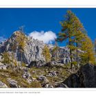 Herbststimmung am Dachstein