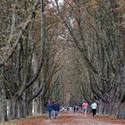 Herbststimmung am Decksteiner Weiher in Köln (2)