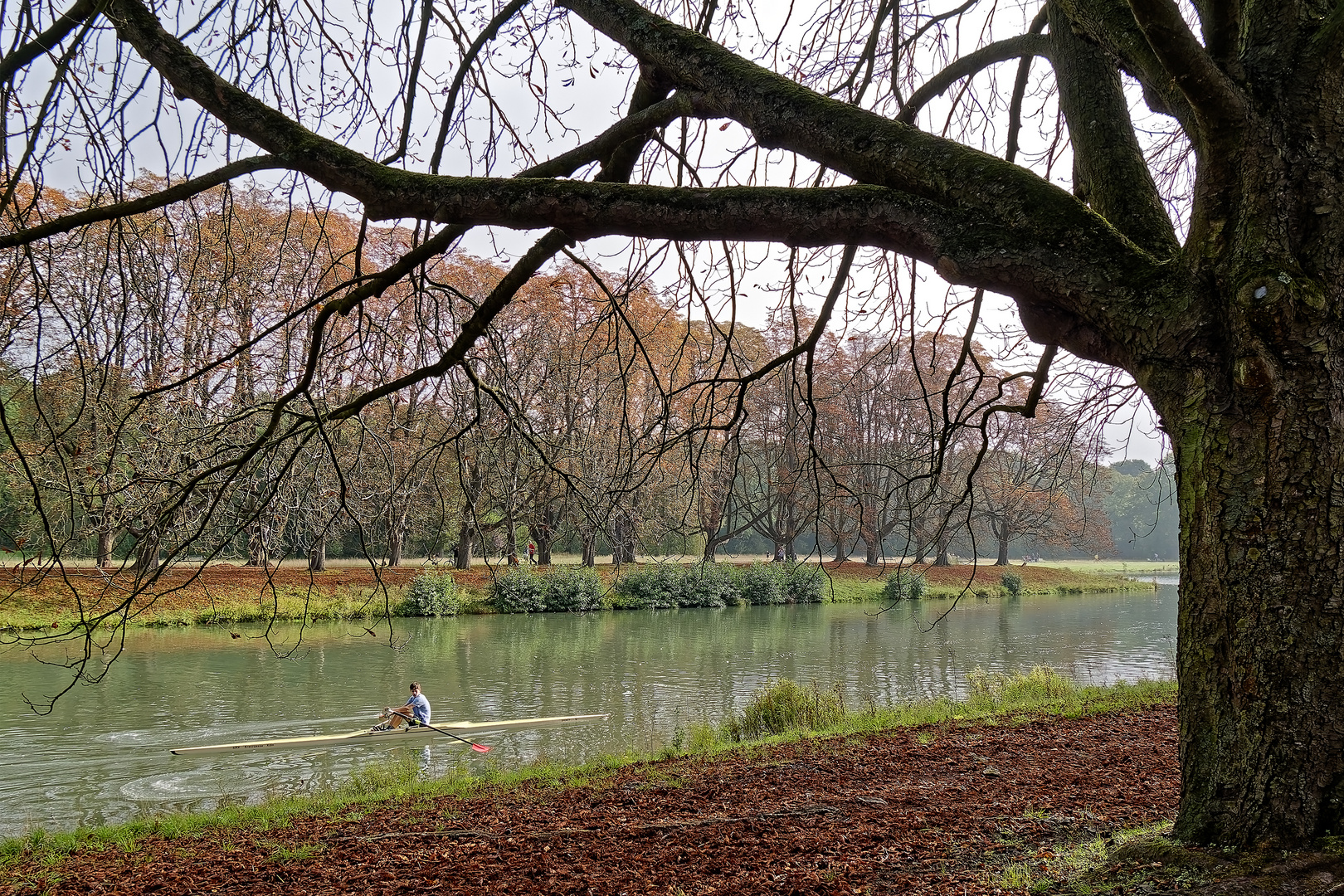 Herbststimmung am Decksteiner Weiher in Köln (4)